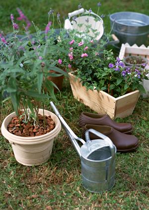 ガチャガチャの森:多彩なラインナップと魅力あふれるお店情報